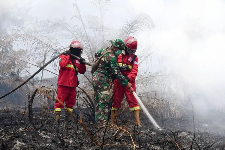 Karhutla Bakar 30 Ribu Hektare, 223 Orang dan 9 Korporasi Segera Masuk Bui
